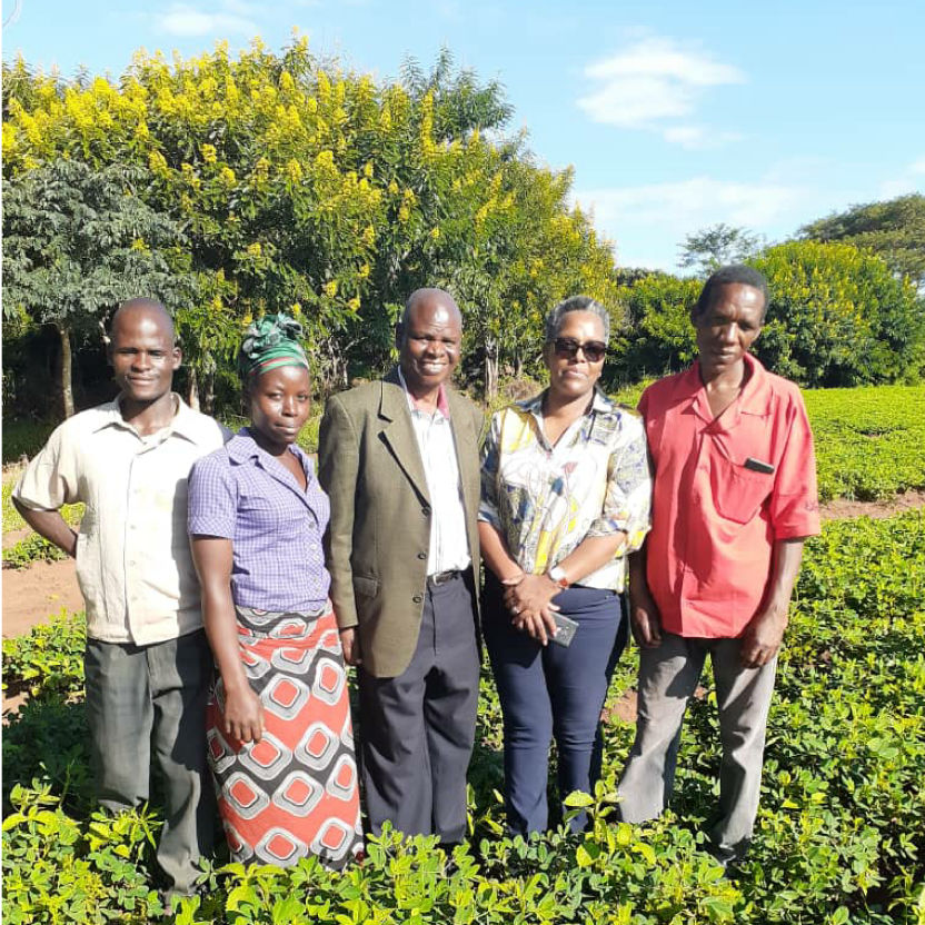 Milele Agro-Processing