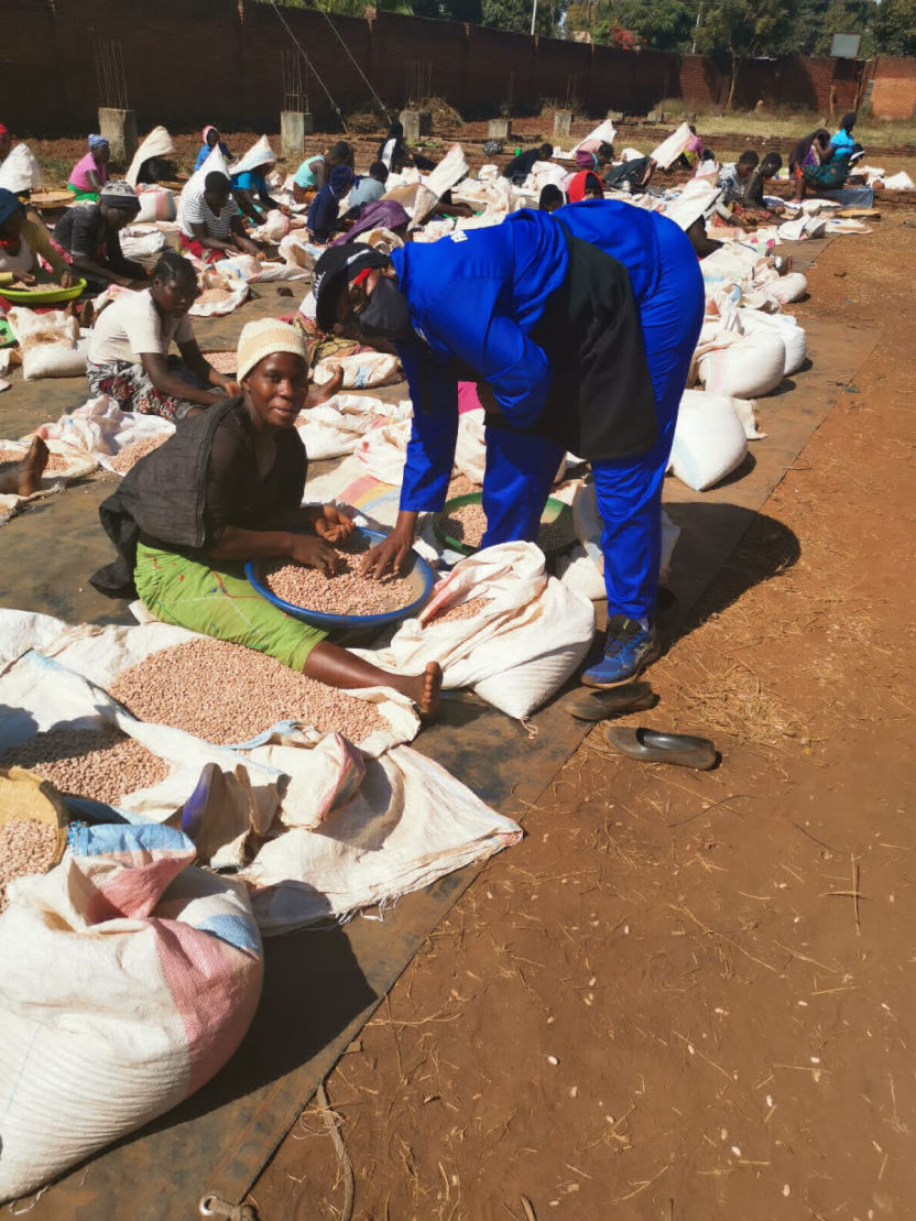 Milele Agro-Processing